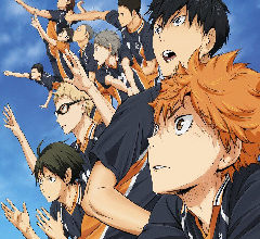 Haikyuu Fly High