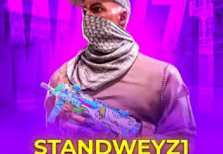 Приватка STANDWEYZ1