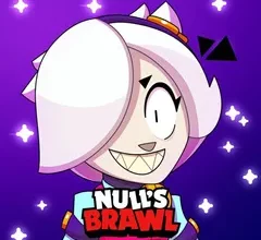 Приватка Null’s Brawl 54.298