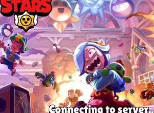 Приватка Molla Brawl