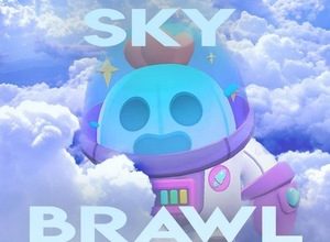 Приватка Sky Brawl 55.236