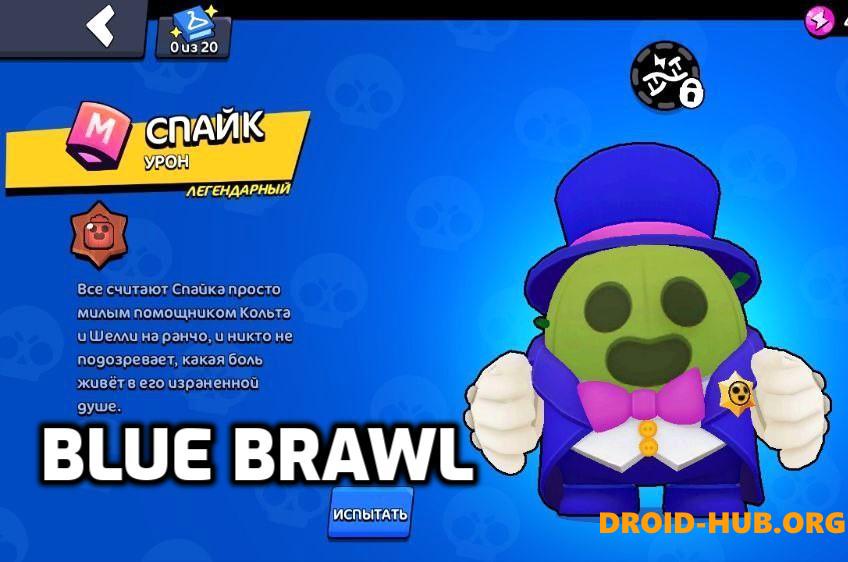 Приватка Blue Brawl