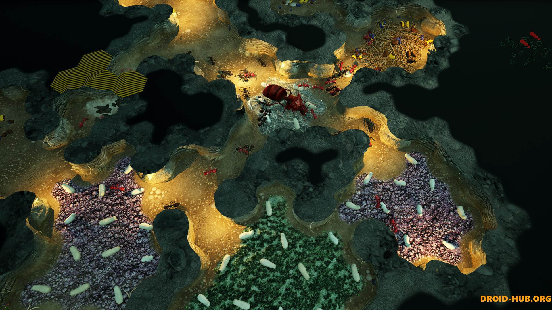 Empires of the Undergrowth