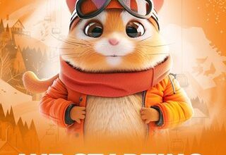 Новые Комбо Карты в Hamster Kombat 14-15 Июня
