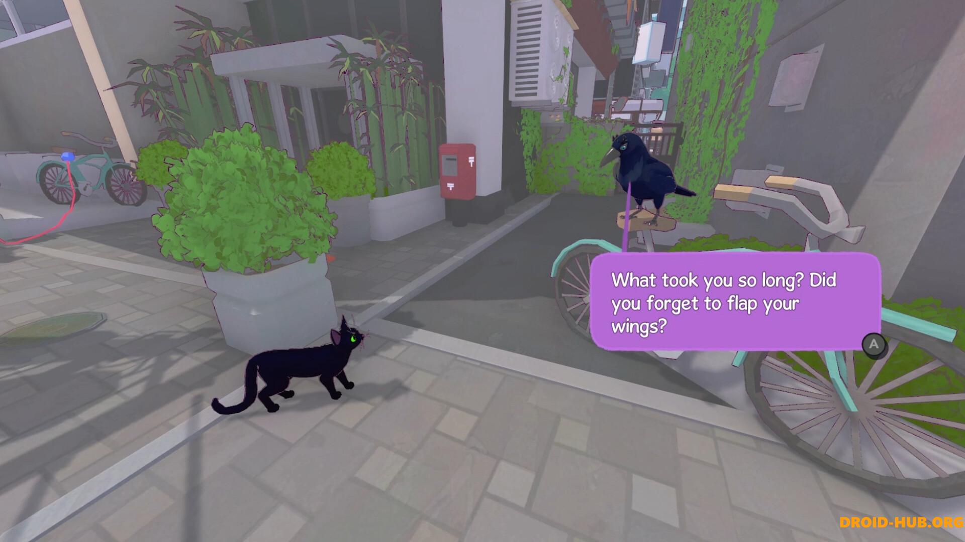 Little Kitty Big City