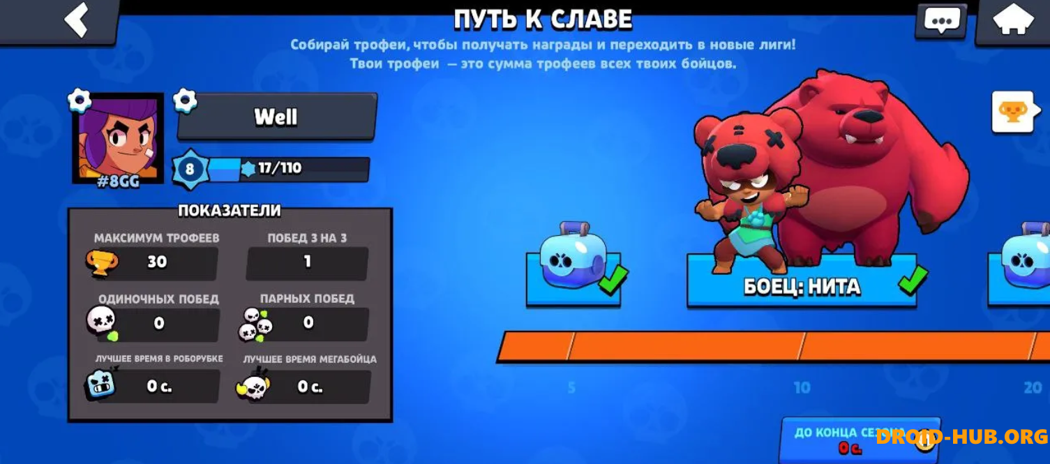 Приватка DarkBrawl 19.111