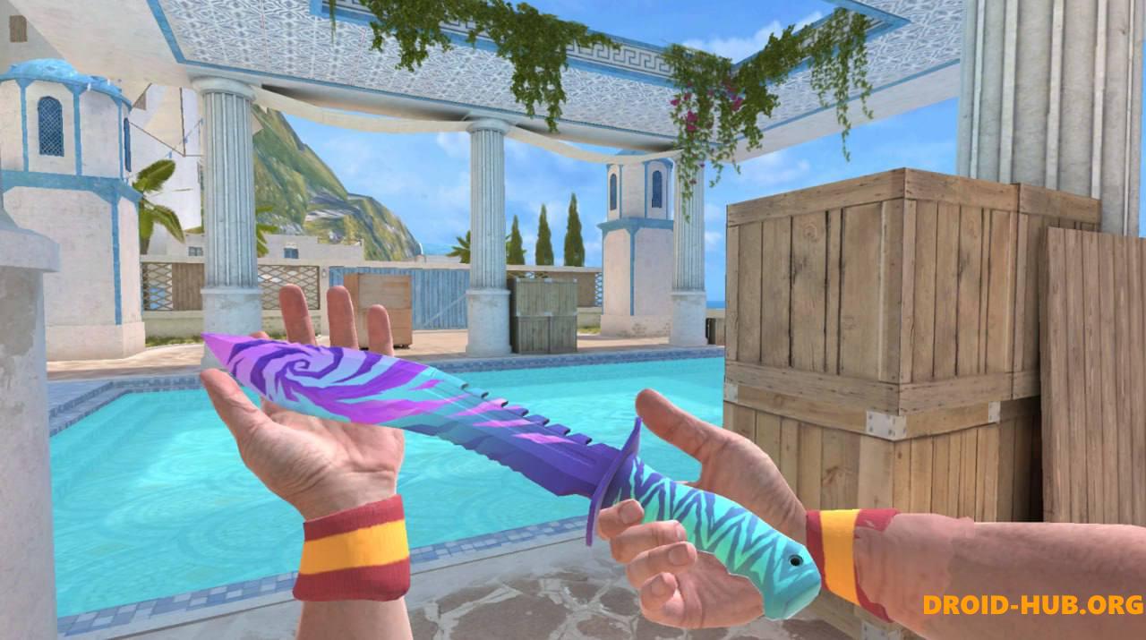 Приватка StandLeo 2.4