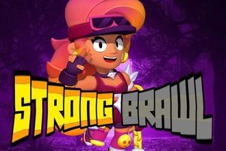 Приватка Strong Brawl