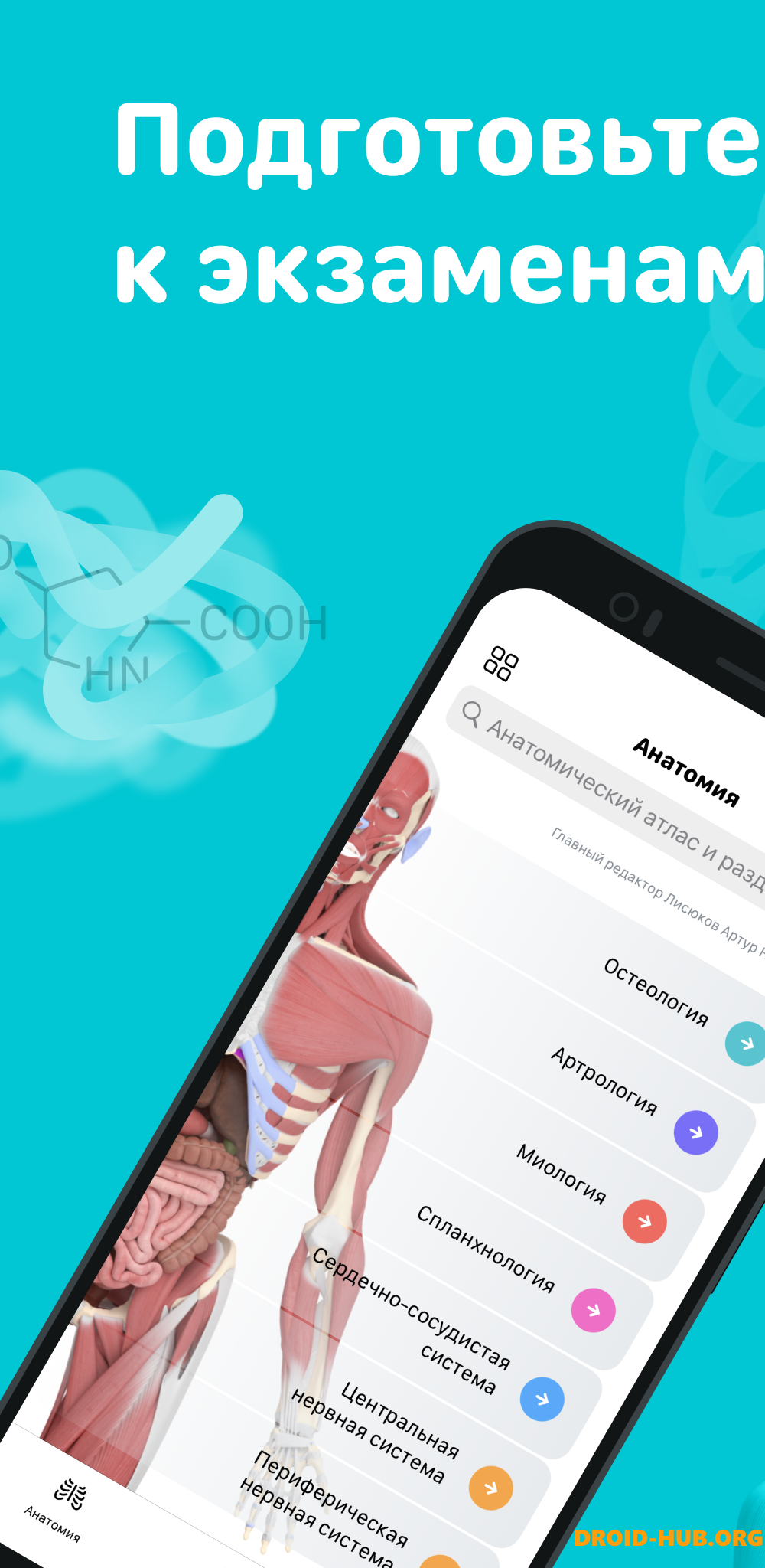 Учи Мед (Учи Анат)