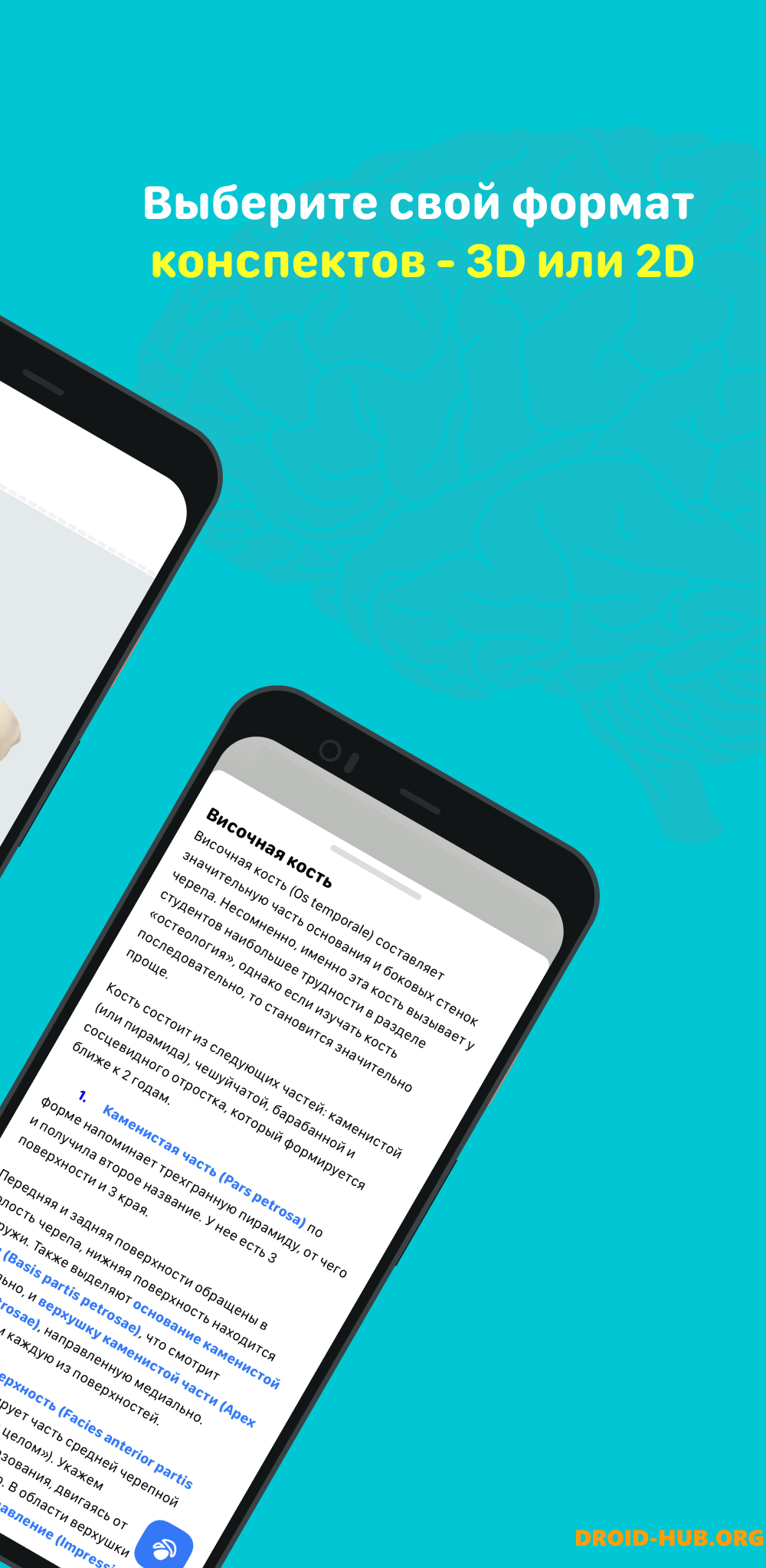 Учи Мед (Учи Анат)